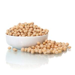 Soy Beans